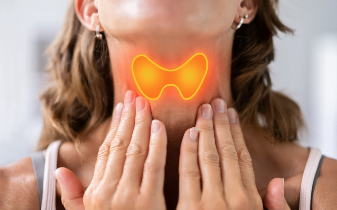 La thyroïde en folie : Quand la ménopause chamboule ton métabolisme