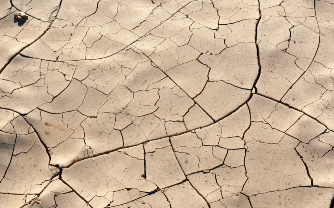 Manque d’eau = livres en trop