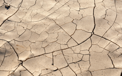 Manque d’eau = livres en trop