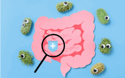 Et si vos symptômes venaient de votre intestin ?